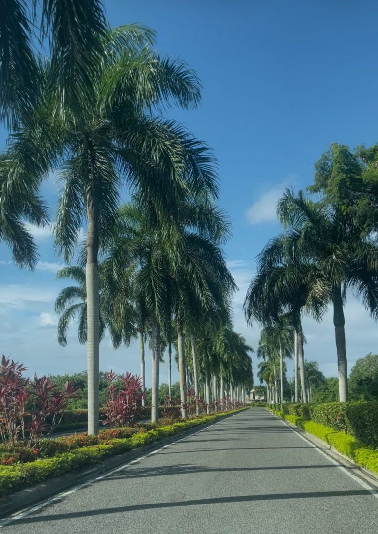 Villa en venta Playa Nueva Romana